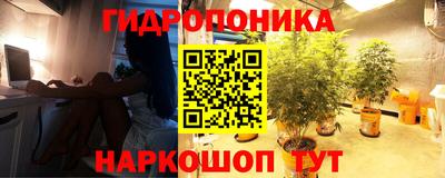 экстази Дубна
