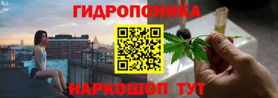 индика Донецк