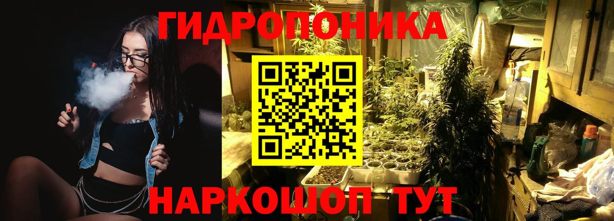 Бошки марихуана планчик  Вход с VPN  Лесозаводск  Бошки марихуана марихуана  МАРИХУАНА VHQ  Каннабис план 